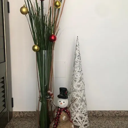 Seifia Ba Pozo Izquierdo